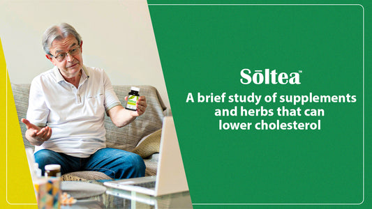 A Brief Study of Supplements and Herbs that Can Lower Cholesterol